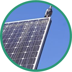 パネルの汚れが気になる