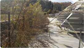 雑草がパネルにかぶっている