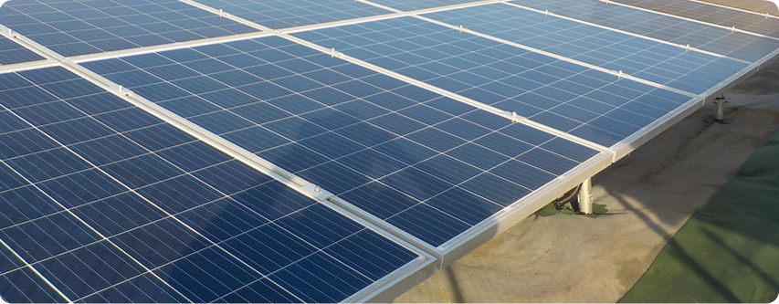 モジュール洗浄サービス